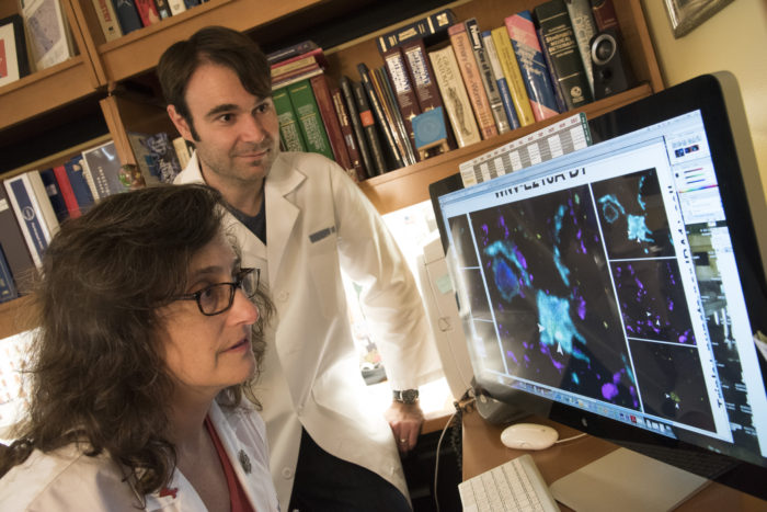 Robyn Klein, MD, PhD, and Michael Vasek, PhD, examine images of mouse synapses. The researchers found that memory loss suffered by some survivors of West Nile encephalitis may be caused by the loss of synapses between neurons.