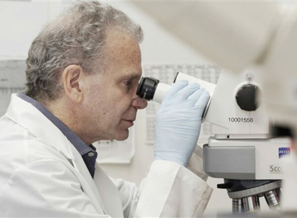Dr. Josh Rubin looks through a scope in lab